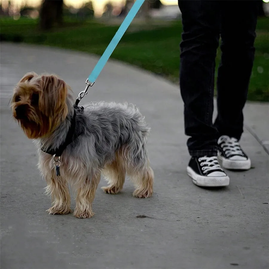 Soul Pet Car Seat Belt For Dogs And Cats, Retractable Backseat Leash