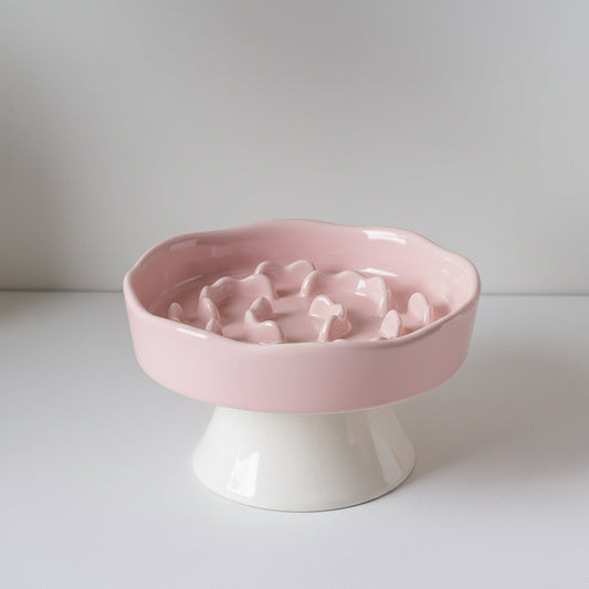 Ceramic Elevated Slow Feeder Bowl