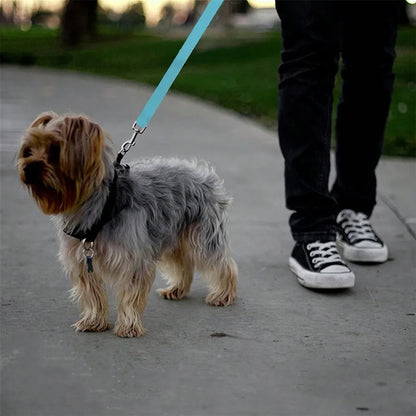 Soul Pet Car Seat Belt For Dogs And Cats, Retractable Backseat Leash